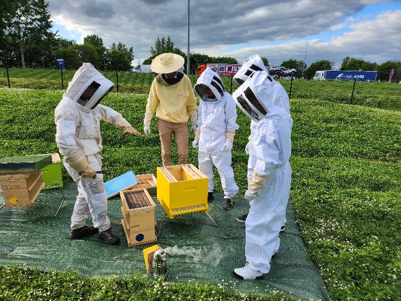 [RSE] Mise en place de ruches — Groupe ROSSI AERO